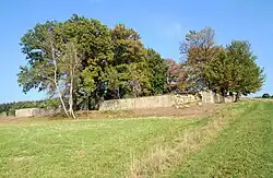 Общий вид кладбища № 79