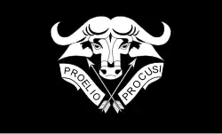 Знамя батальона с девизом