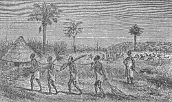 Африканские рабы. Гравюра XIX века.