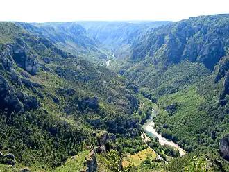Вид на Тарнское ущелье в Сен-Жорж-де-Левежак (фр.)