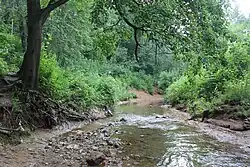 Долина реки Самородинки, 2015 год