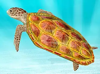 Реконструкция