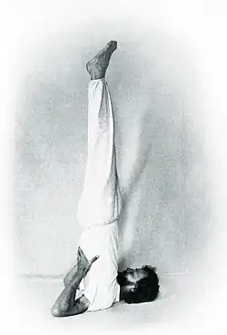 Поза берёзки