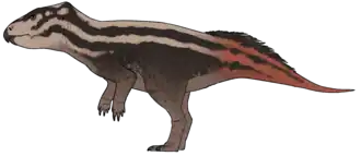 Реконструкция внешнего облика