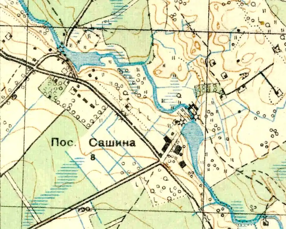 Посёлок Сашино на карте 1930 года