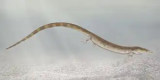 Реконструкция Sauropleura