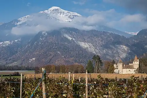 Замок на фоне Альпийских гор