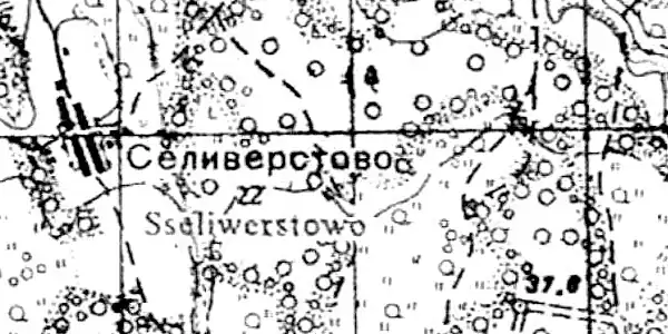 План деревни Селивёрстово. 1941 год