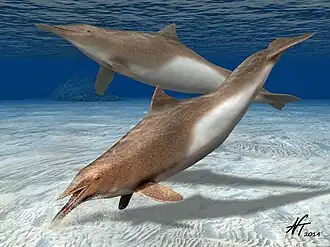 Реконструкция