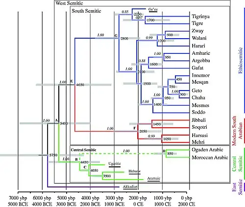 Генеалогия эфиосемитских языков