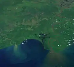 Космический снимок устья реки