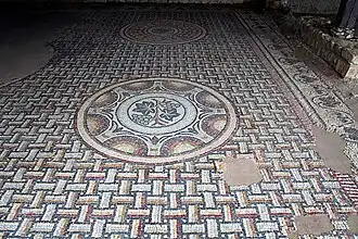 Мозаичный пол с гроздьями.