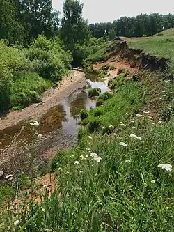 Река Шагалалы (Чаглинка) летом в окрестностях с. Садовое