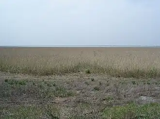 Шапсугское водохранилище у посёлка Дружный