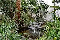 Фонтан, внутри стеклянного павильона