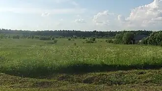 Поляна к северу от деревни