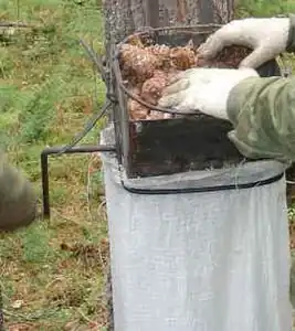Шишкодробилка с ручным приводом, прикреплена к стволу дерева