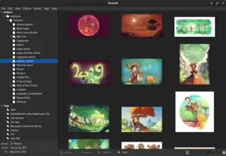 Скриншот программы Shotwell