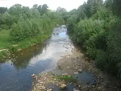 Вид на реку в Новом Торъяле