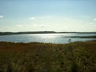 Озеро Шулеское, вид с северного берега