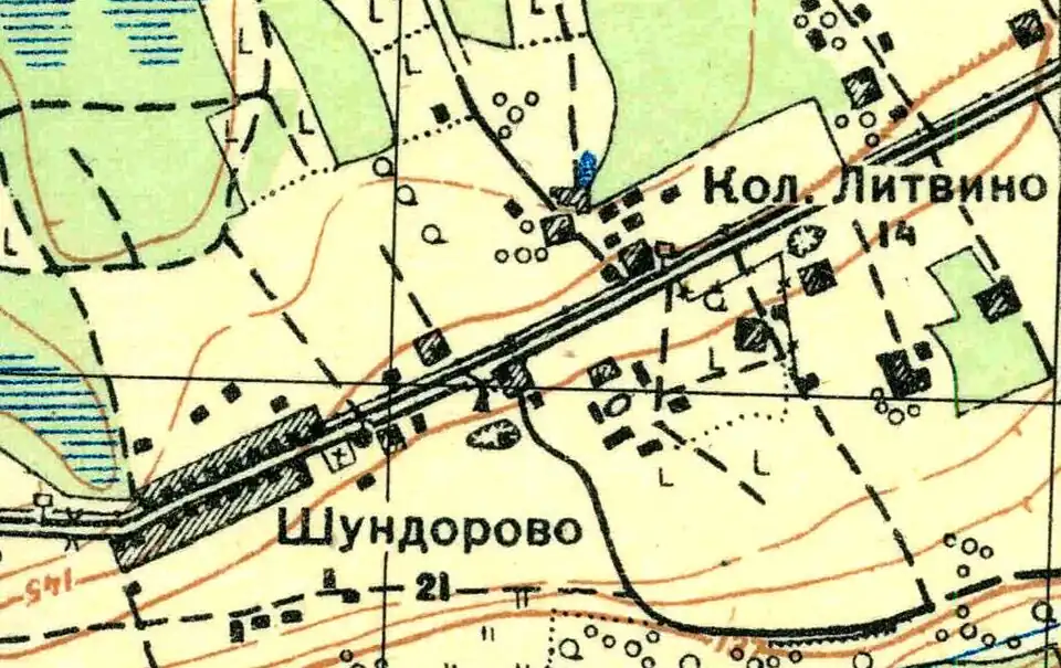 План деревни Шундорово. 1931 год