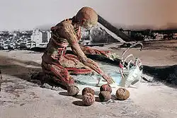 Регистратор Дней и Фруктов, 2002из серии "Страна", Alon Segev Gallery, Тель-Авив-Яффо