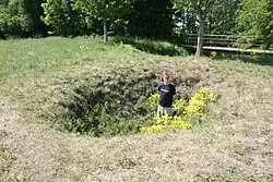 Одна из многочисленных карстовых воронок в деревне