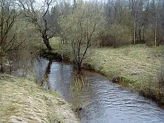 Нижнее течение Ситы весной 2001 года