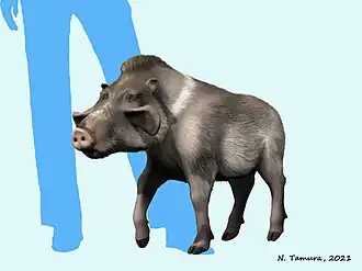 Реконструкция