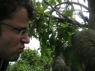 Филипп Кюэну с ленивцем в Панаме.