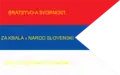 Другой флаг времён восстания 1848—1849 годов, также бывший флагом Словацкого национального совета. После Славянского съезда красный, синий и белый стали основными цветами словацких флагов.