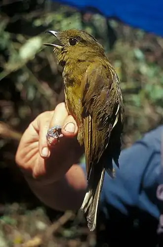 В районе Эквадора. Снимок USGS.