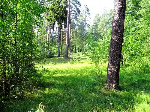 Парк Софиевка