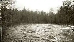 Сона в очень высокую воду, май 1994 года.