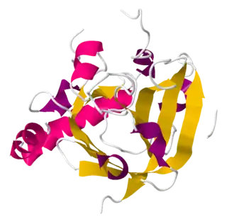 Связанная с пилусом сортаза C стрептококка группы B. PDB 3O0P