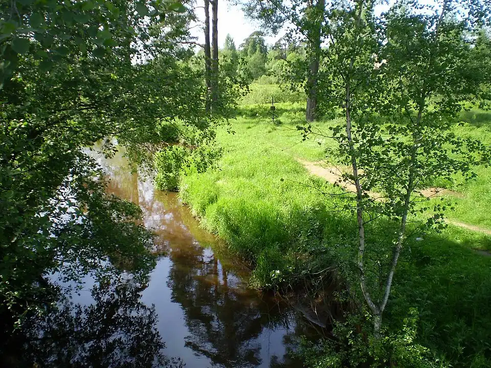 Одно из предполагаемых мест гибели Н.&nbsp;С.&nbsp;Гумилёва