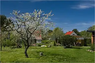 Весна в Лауласмаа