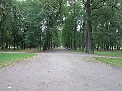 Вид от 2-й Берёзовой аллеи