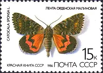 Серия «Красная Книга СССР. Бабочки»: Лента орденская малиновая (лат. Catocala sponsa) ( (ЦФА [АО «Марка»] № 5708), 1986 год).