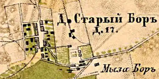 План деревни Старый Бор. 1885 год