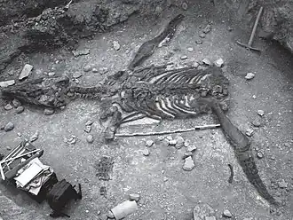 Stenorhynchosaurus munozi