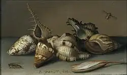 Натюрморт с ракушками и осенним крокусом. Ок. 1630. Медь, масло. Центральный музей, Утрехт