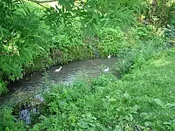 Студёный Поток в районе села Стратин