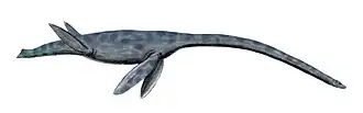 Styxosaurus