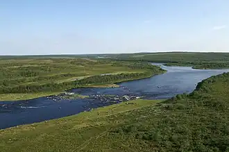 Сухая впадает в Иокангу