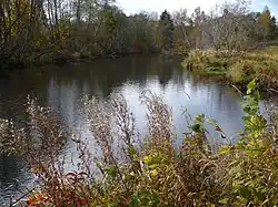 Место слияния Суды и Мергупе осенью 2008 г.