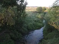 Канал в с.Сухаревка