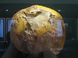 «Янтарное солнце»