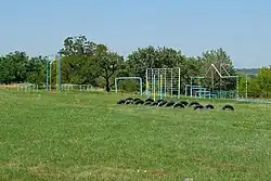 Стадион Сурско-Литовского лицея