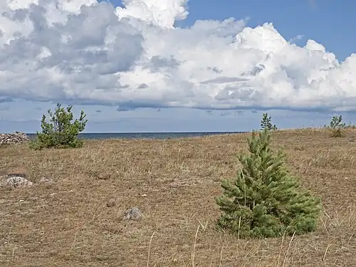 Побережье в Тахкуна
